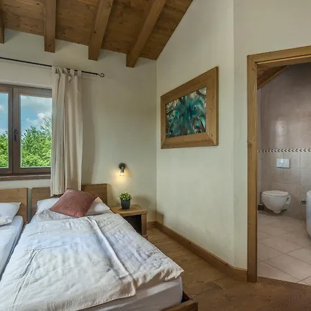 Villa Dante Svetvinčenat